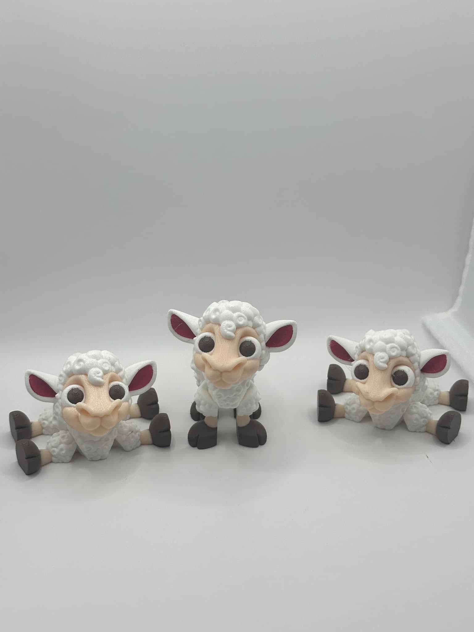 3D Printed Creation